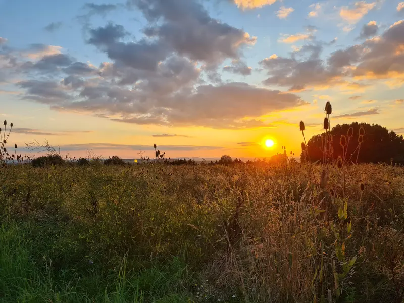 Sonnenuntergang über einem Feld im Frankenwald